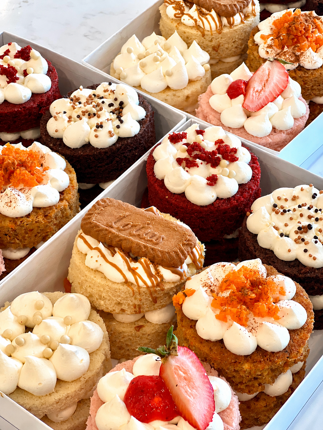 cake tasting box – made by akb